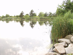 Bogense Lystfiskersø