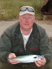 Hornfisk og makrel ved Hanstholm