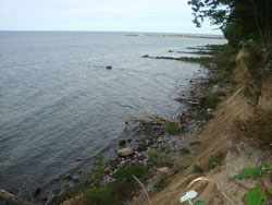 Bøgeskov, Stevns