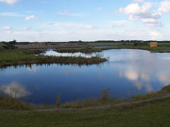 Dvergetved Søpark