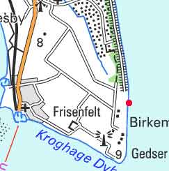 Birkemose