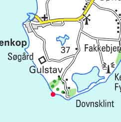 Gulstav Klint