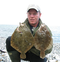Fladfisk på Djursland