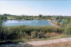 Hedeland Fiskesø