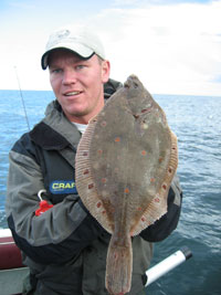 Fladfisk på Djursland