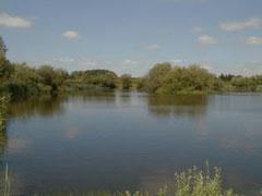 Holmehave Fiskesø