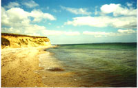 Hvideklint, Møn