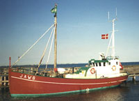 Aften hyggeture på Øresund