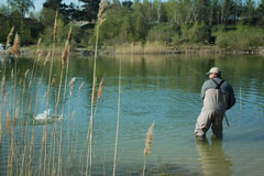 Myrup Fiskesø