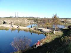 Ny Thorup Fiskepark