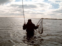 Fredninger Odense Fjord