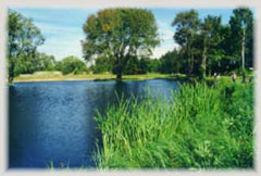 Poppelsøen's Ørredvand