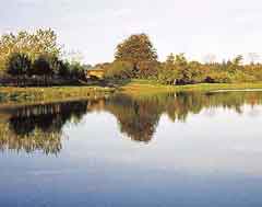 Sivbæk Fiskesø