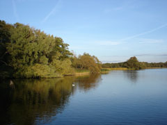 Sorø Sø
