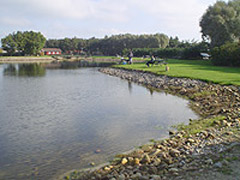 Stauning Fiskesø