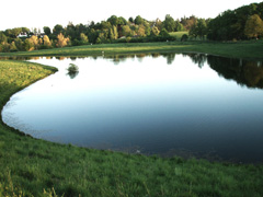 Søllerød Fiskepark