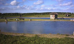 Søttrup Fiskesø