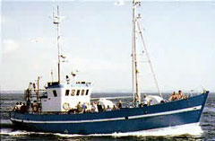 Havstrygeren