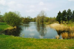 Herning Fiskepark