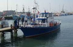 Yellow Reef